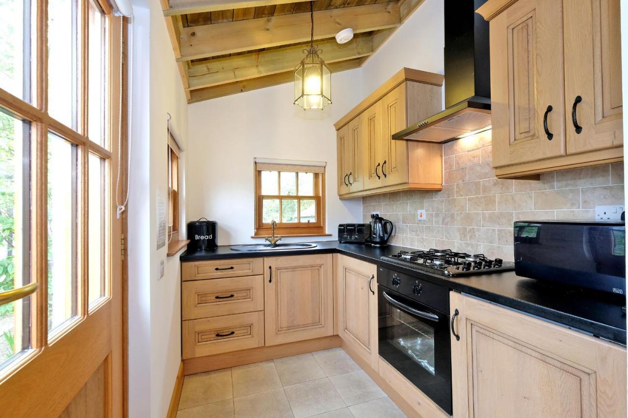Entire Unique Tiny House - Moss Cabin Banff Zewnętrze zdjęcie